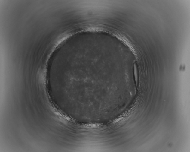 X0000095900724200801111209