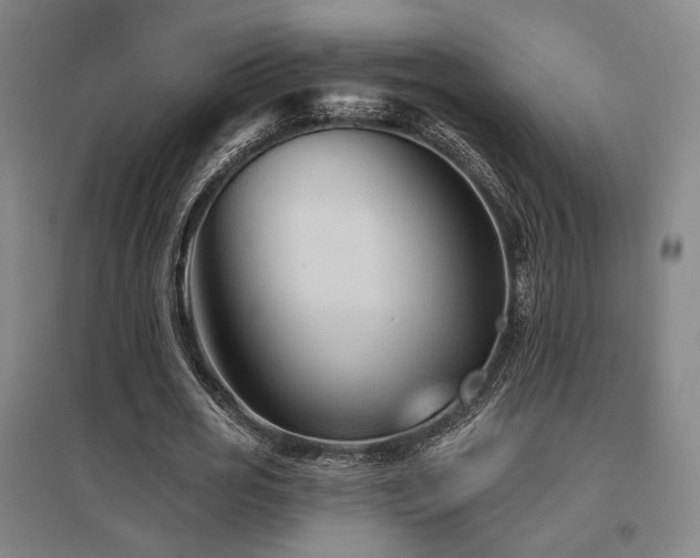 X0000095900725200801111209
