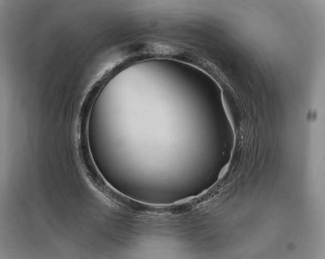 X0000095900726200801111209
