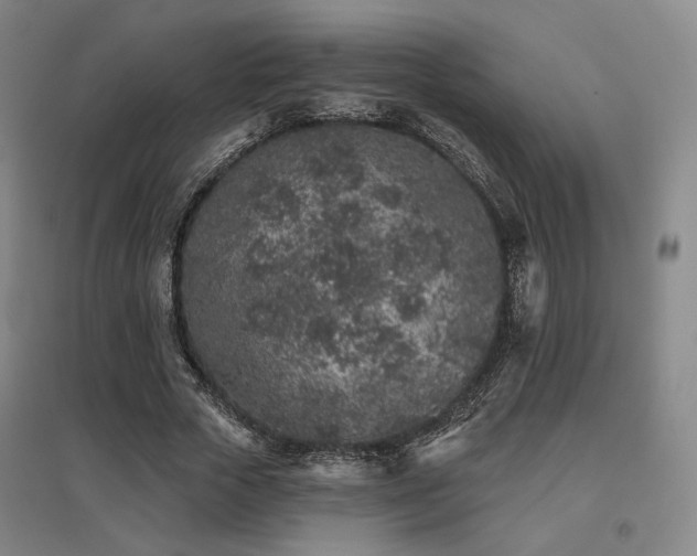 X0000095900729200801111209