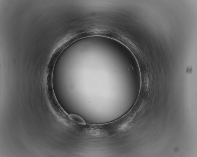 X0000095900730200801111209