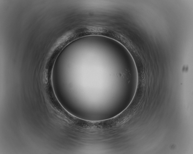 X0000095900731200801111209
