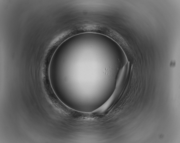 X0000095900732200801111209