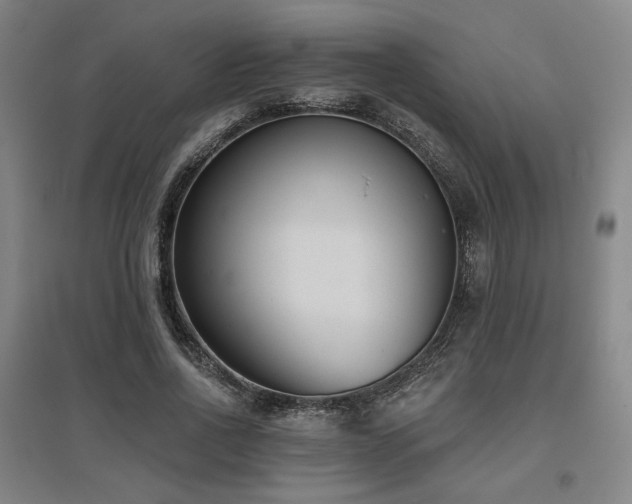 X0000095900734200801111209