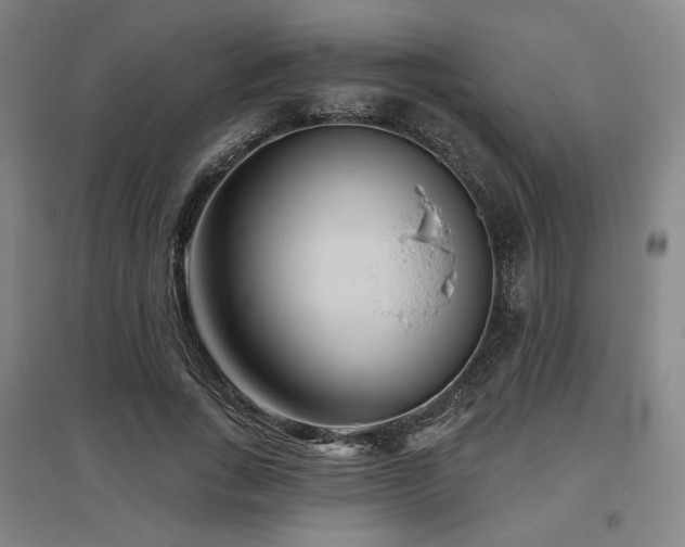 X0000095900735200801111209