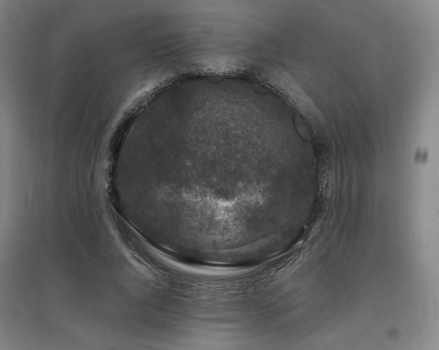 X0000095900736200801111209