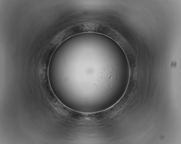 X0000095900737200801111209