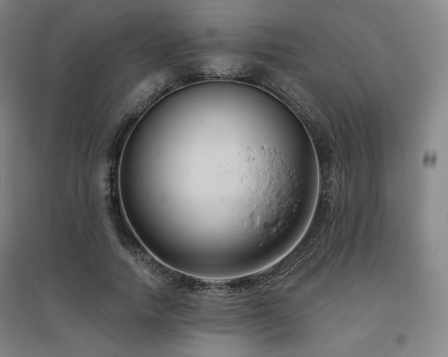 X0000095900738200801111209