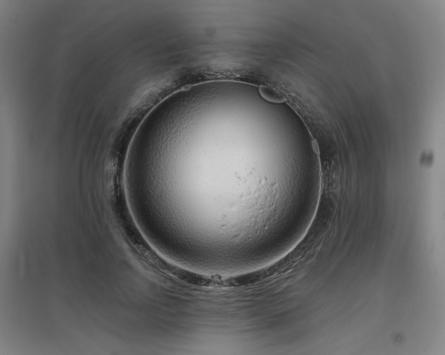 X0000095900742200801111209