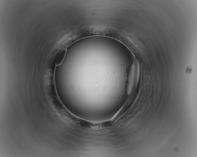 X0000095900744200801111209