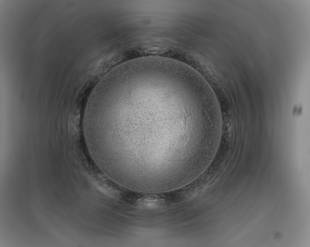 X0000095900745200801111209