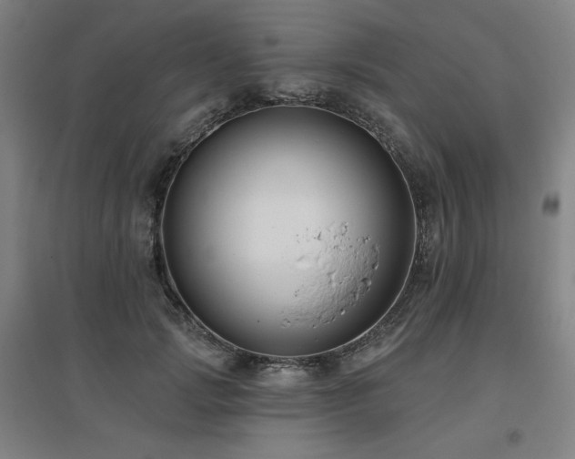 X0000095900749200801111209