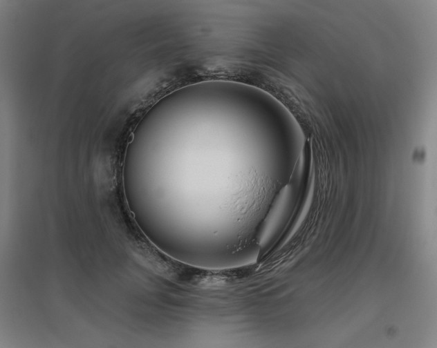 X0000095900751200801111209