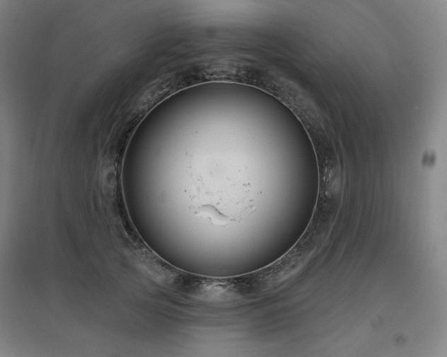 X0000095900753200801111209