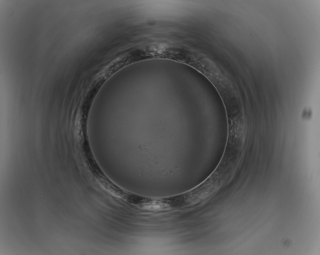 X0000095900754200801111209