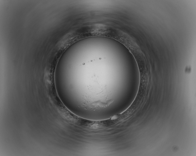 X0000095900755200801111209