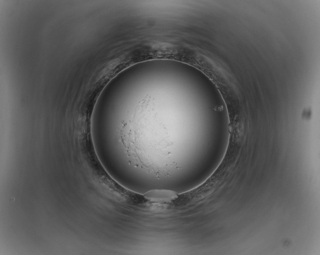X0000095900756200801111209