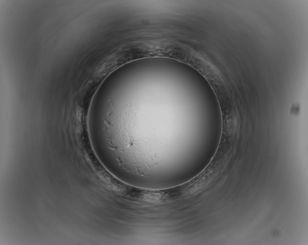 X0000095900757200801111209