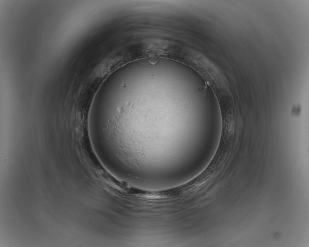 X0000095900759200801111209