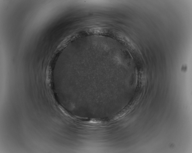 X0000095900760200801111209