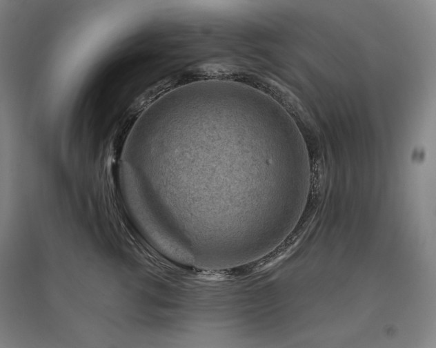 X0000095900762200801111209