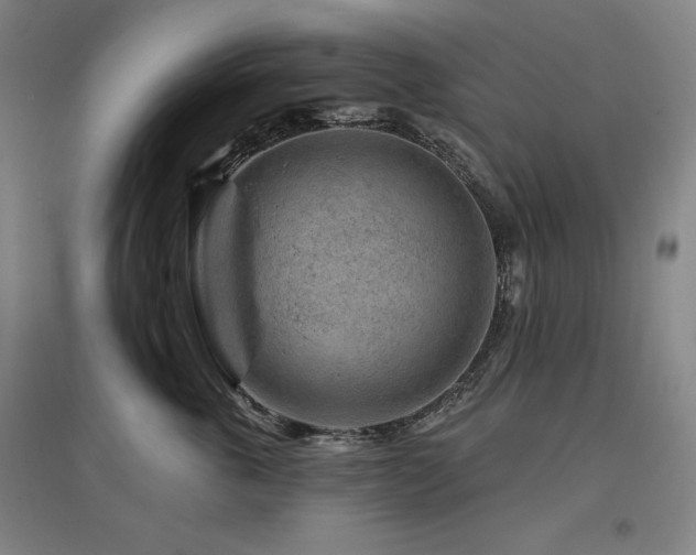 X0000095900763200801111209