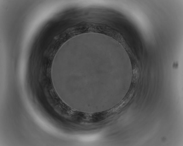 X0000095900765200801111209