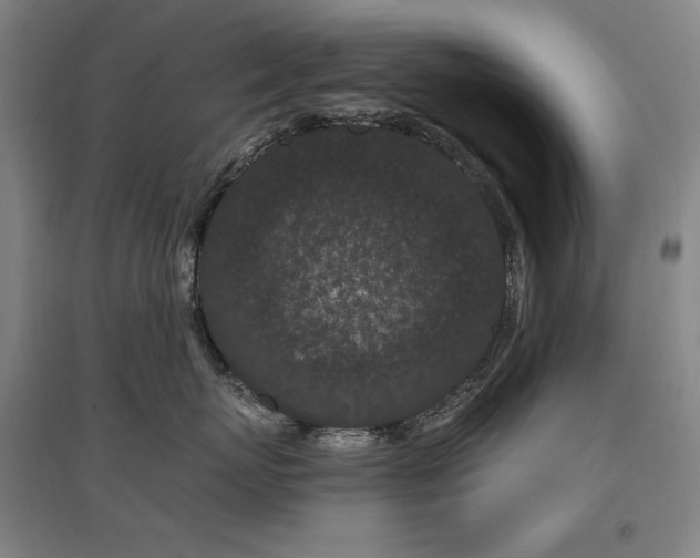 X0000095900767200801111209