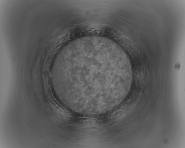 X0000095900769200801111209