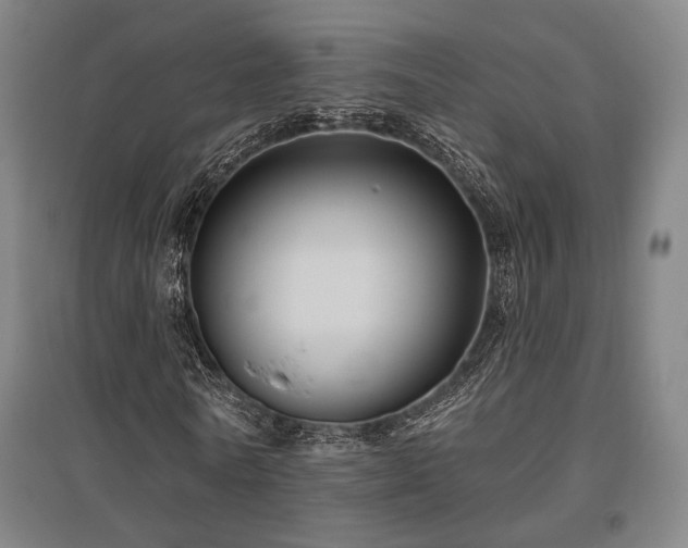 X0000095900770200801111209