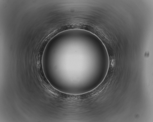 X0000095900771200801111208