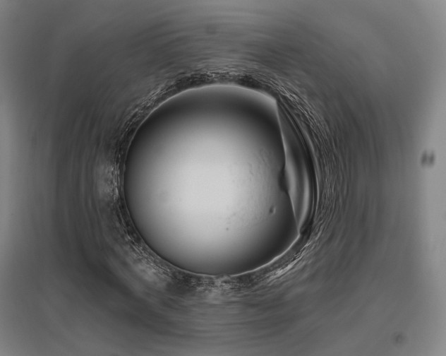 X0000095900772200801111208