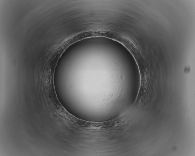X0000095900773200801111208