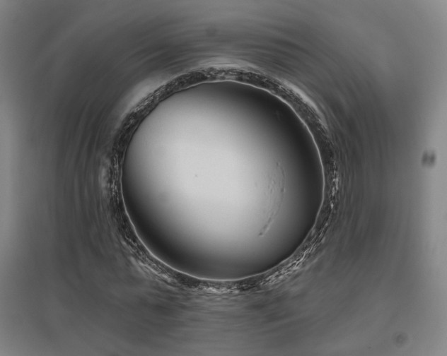X0000095900775200801111208