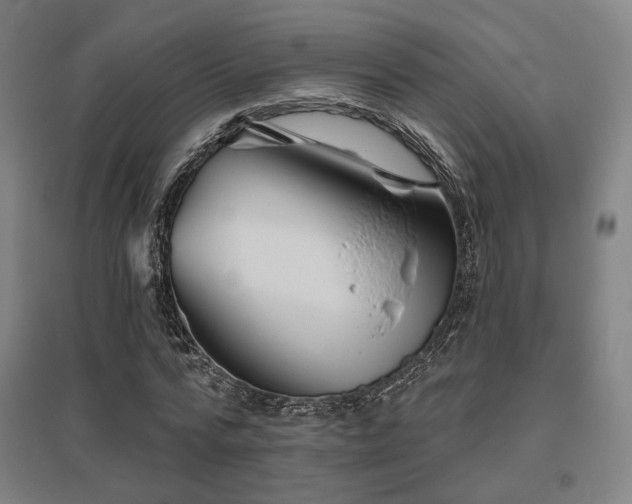 X0000095900776200801111208