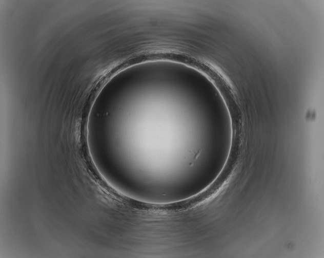 X0000095900777200801111208
