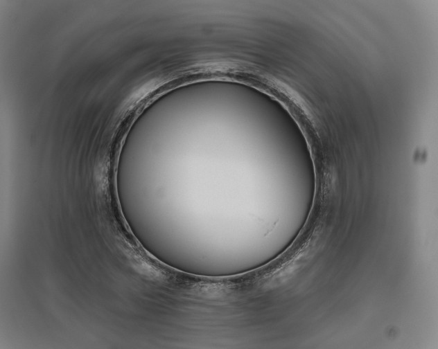 X0000095900778200801111208