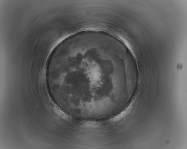 X0000095900779200801111208