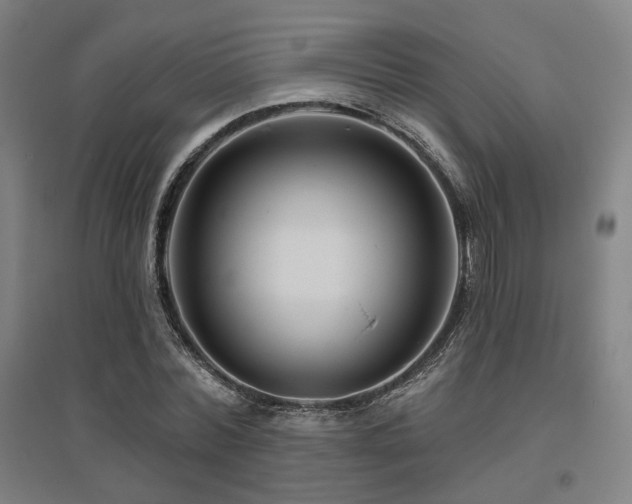 X0000095900780200801111208