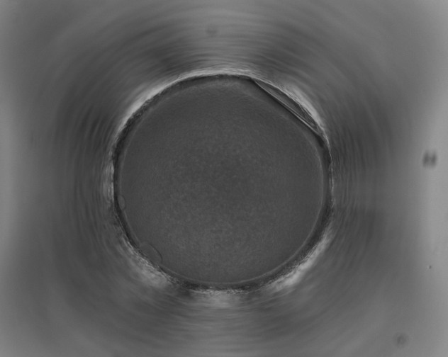 X0000095900781200801111208