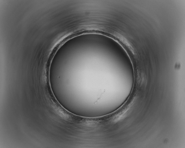 X0000095900782200801111208