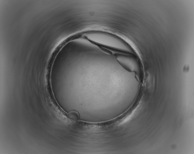 X0000095900783200801111208