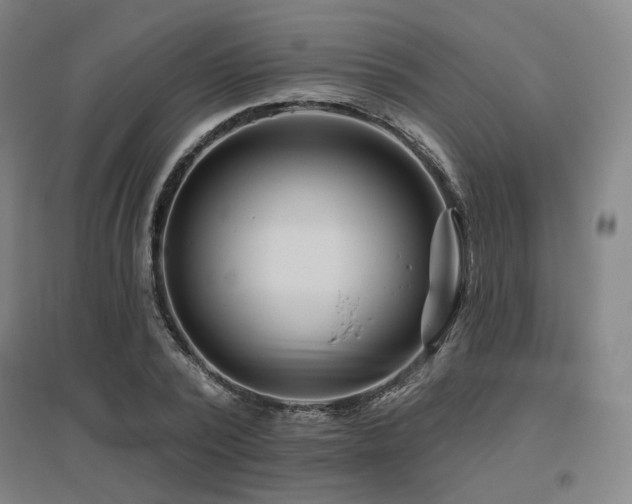 X0000095900784200801111208