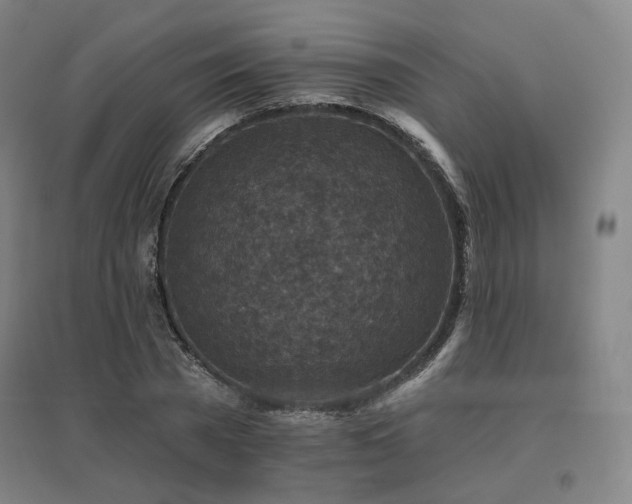 X0000095900785200801111208