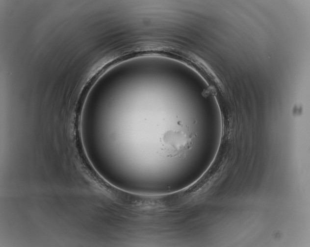 X0000095900786200801111208