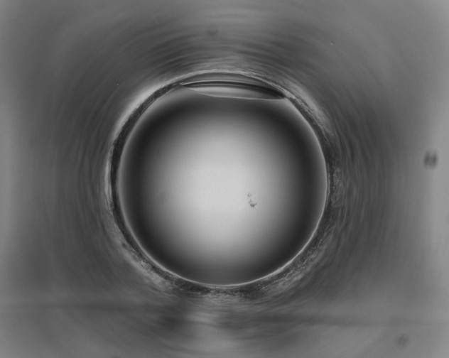 X0000095900788200801111208