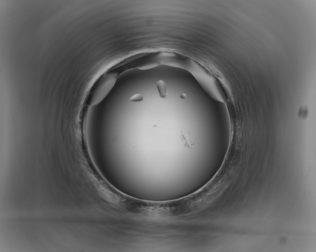 X0000095900789200801111208