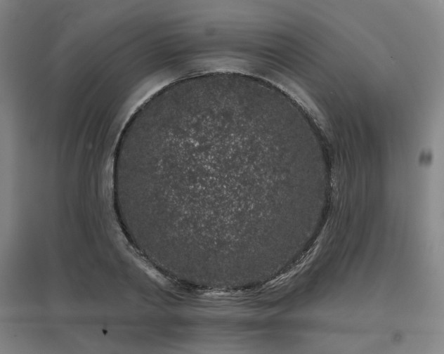 X0000095900790200801111208