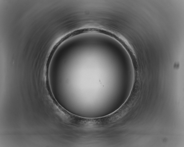 X0000095900791200801111208