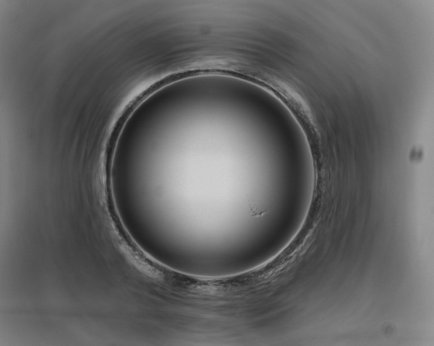 X0000095900792200801111208